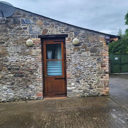 Mount Pleasant Country House Guest House Lucan Exterior foto