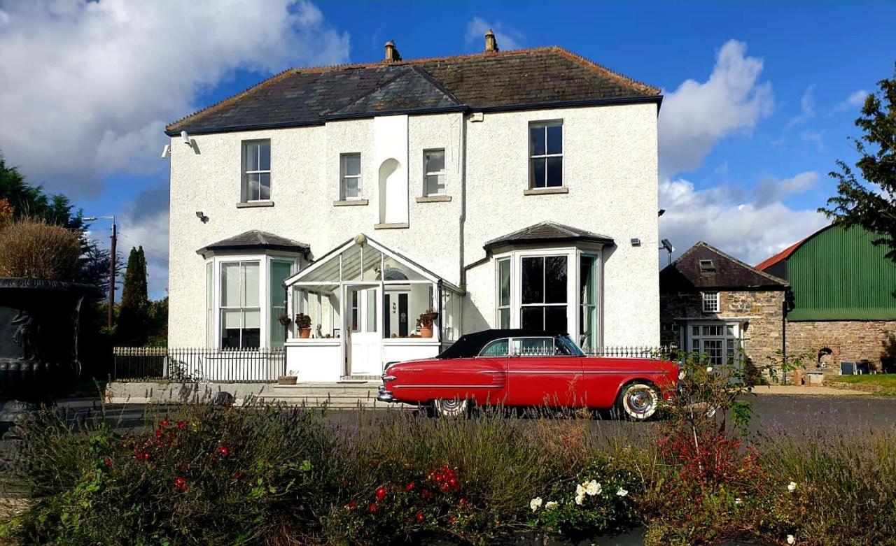 Mount Pleasant Country House Guest House Lucan Exterior foto