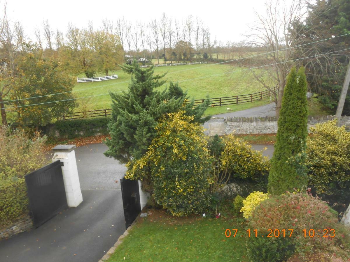 Mount Pleasant Country House Guest House Lucan Exterior foto